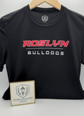 Roslyn Collection 02
